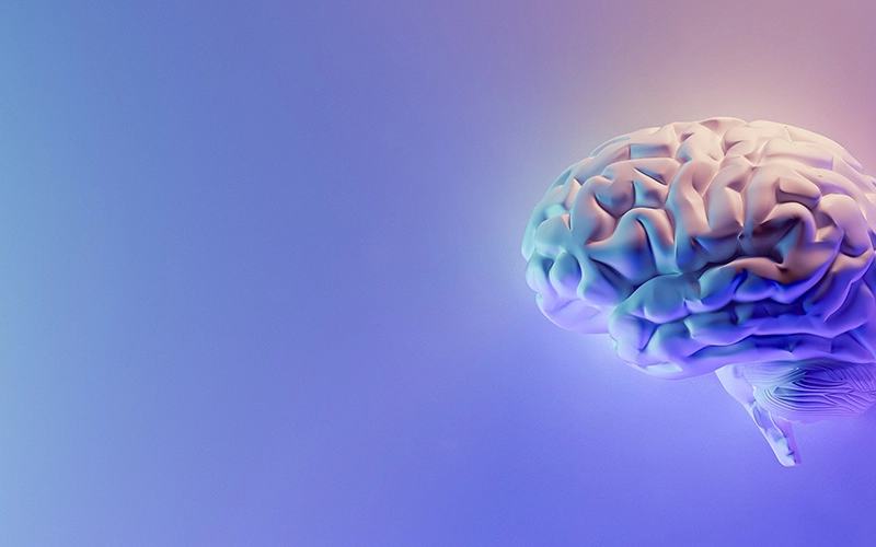 脳みそブレイン脳科学イメージ